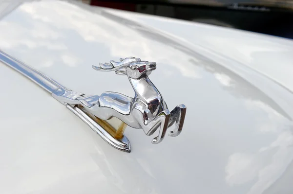 Shiny Crome Deer on the hood of the vintage GAZ M21 Volga vintage car - Stock image