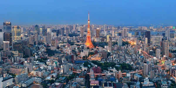 Tokyo Skyline view