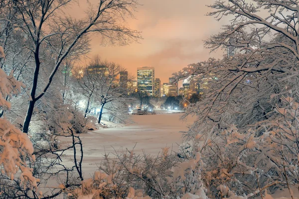 Central Park winter