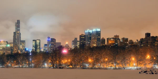 Central Park winter