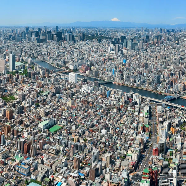 Tokyo urban skyline