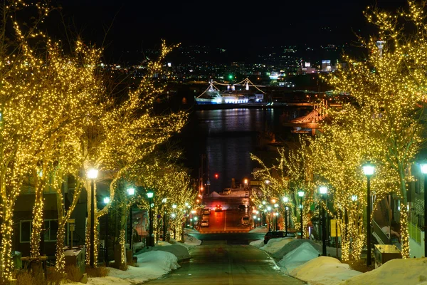 Hachimanzaka and the port of Hakodate at night in Hakodate, Hokkaido