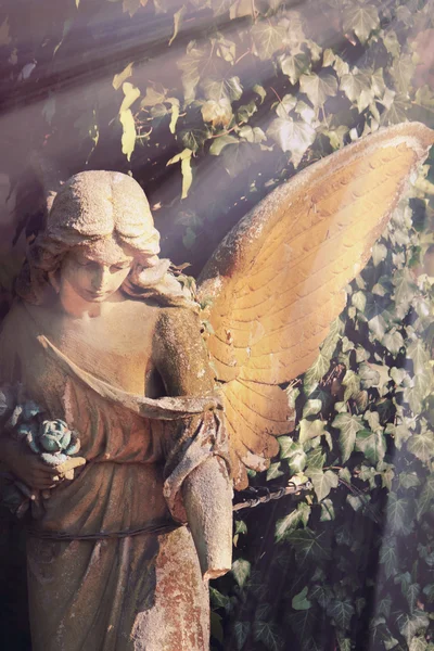 Golden angel in the sunlight (antique statue)