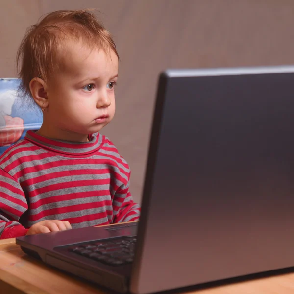 Baby is watching computer