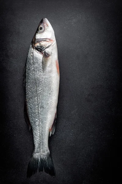 Raw sea bass fish