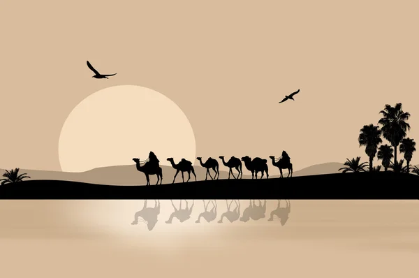 Camel caravan