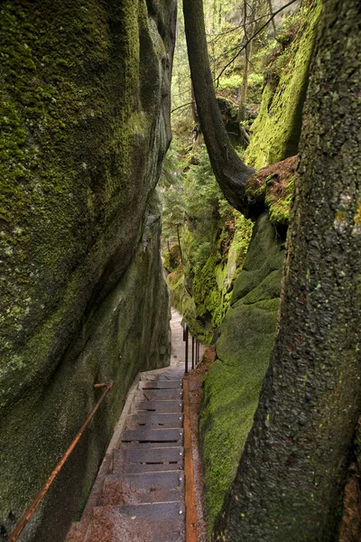The narrow path among high rocks