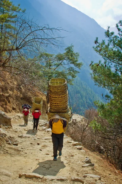 Porters carry heavy load in Himalaya