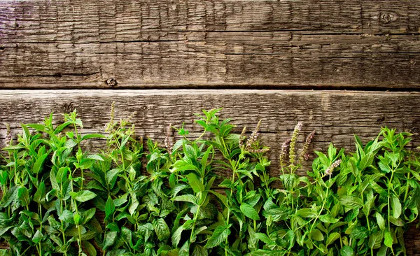 Fresh mint leaves