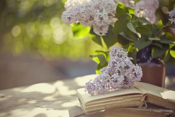 Bouquet of a lilac and old books