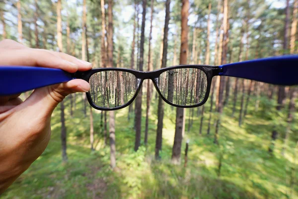 Optical eyeglasses in the hand over blurred forest background