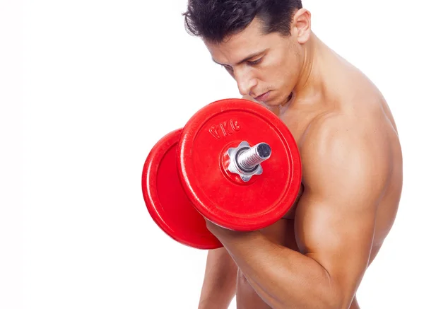 白色背景上举哑铃的健美男子 - 图库照片cristo
