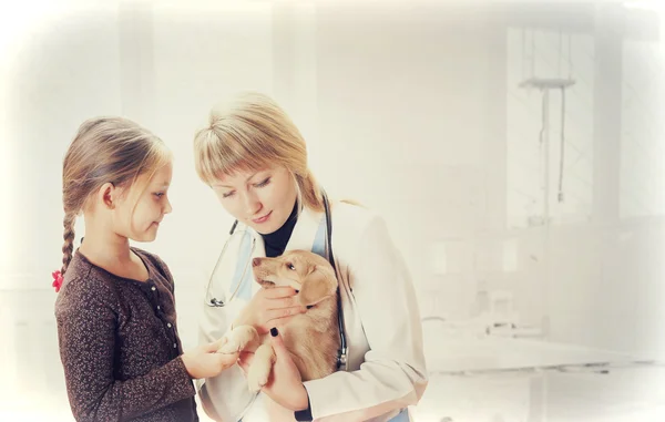 Child, pet on reception to vet