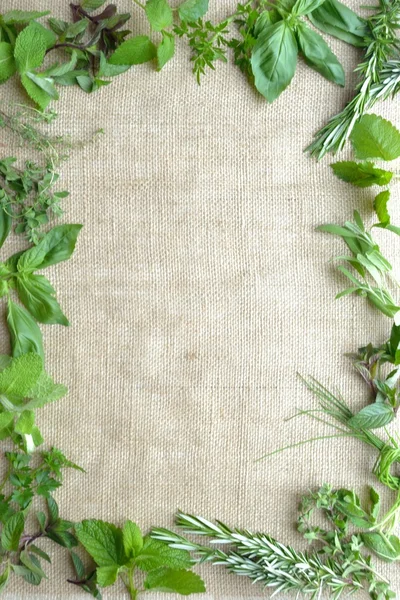 Green herbs and jute cloth frame