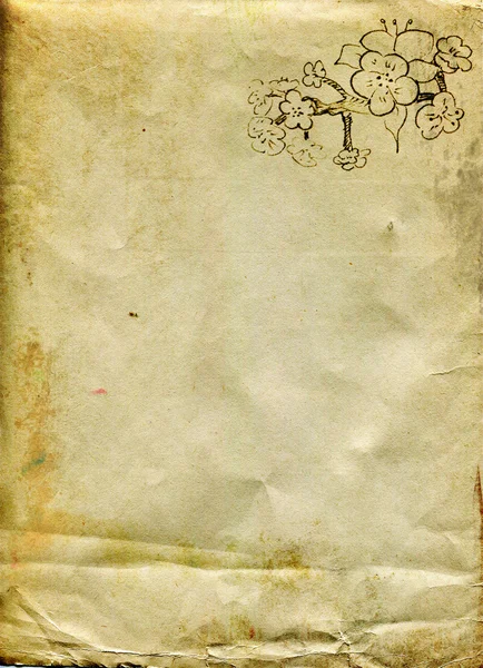 Sheet of old paper with a sketch of branches of fruit flowers in