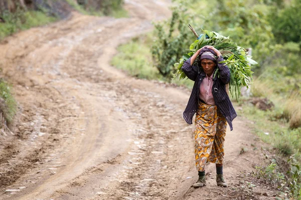 Lady carries heavy load in Myanmar