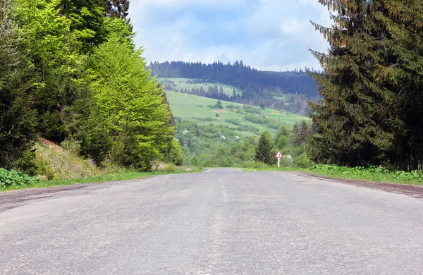 Asphalt road through mountains with fir-trees