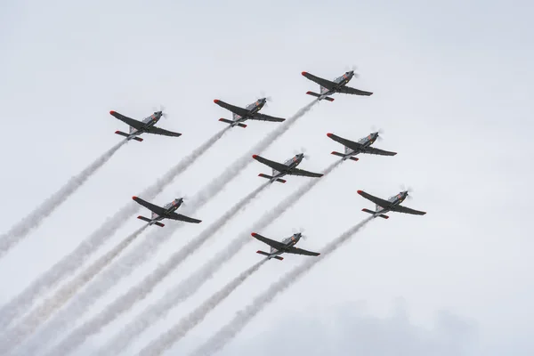 Armed Forces Day in Poland.