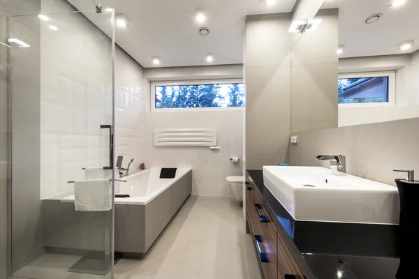 Modern luxury bathroom with bath
