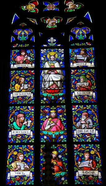 Stained Glass - Mother Mary and Prophets