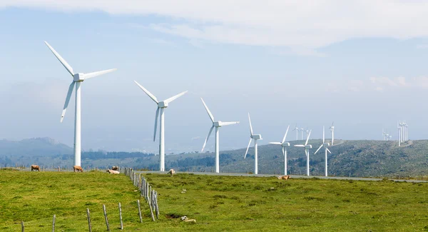 Wind turbines on a wind farm in Galicia, Spain