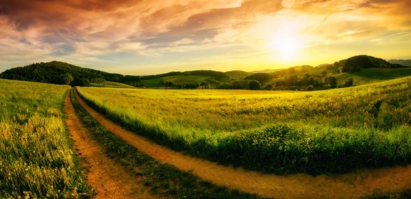 Rural landscape sunset panorama