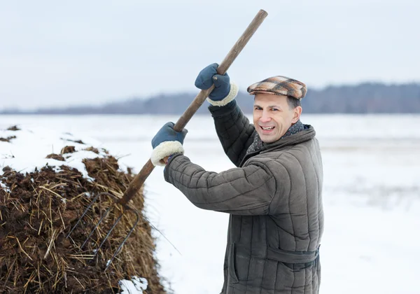 Male farmer works with manure  early spring