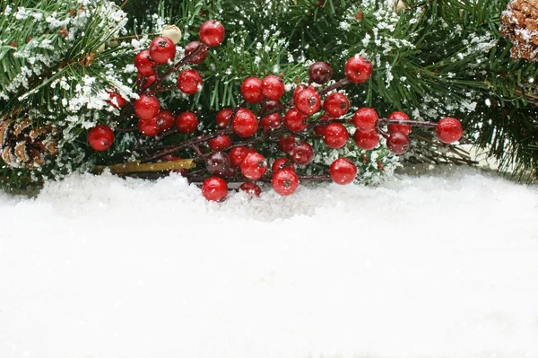 Christmas berries nestled in snow