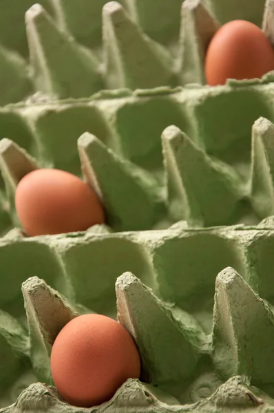 Green Egg Cartons with eggs in diagonal perspective