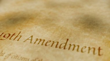 19th amendment essay