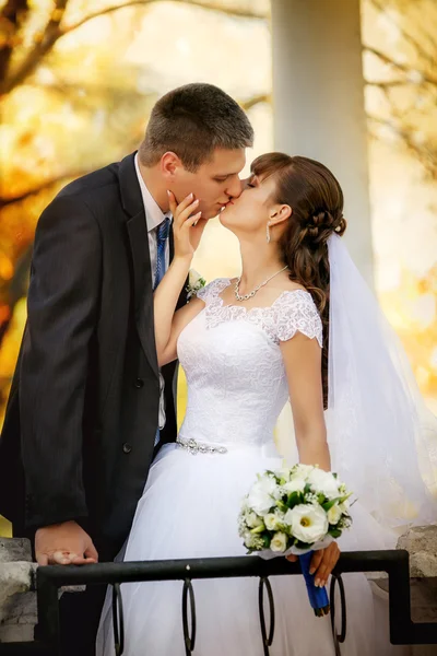 Kiss of the groom and bride in park