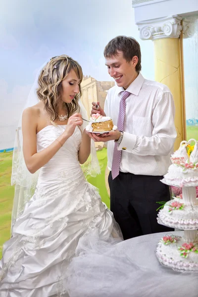 Bride and groom cutting the wedding cake