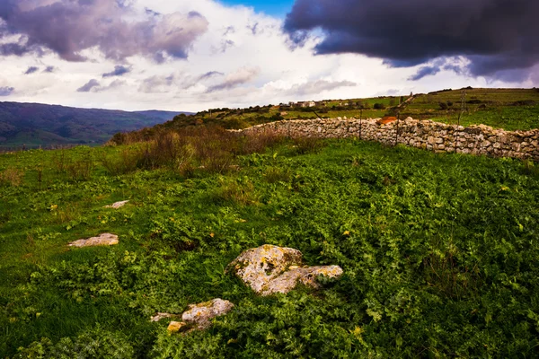 Sardinia countryside view with stone wall