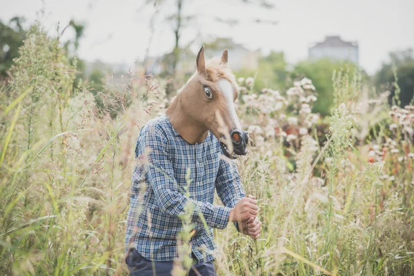 Horse mask absurd man