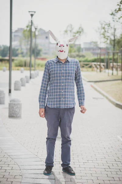Absurd man in rabbit mask