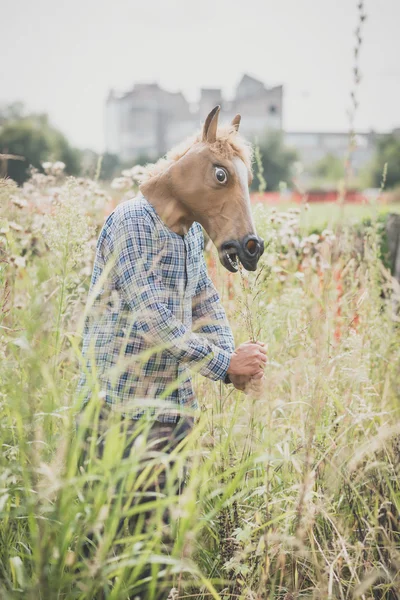 Horse mask absurd man