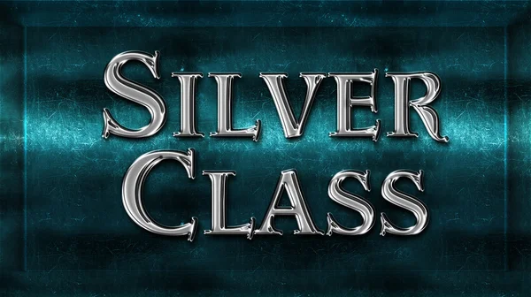 Realistic Chick Metal Silver Class Award