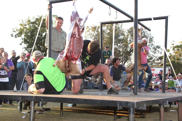Traditional Deer Skinning Contest at Game Festival
