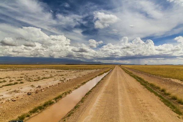 Red ground road and savanna landscape in Africa.