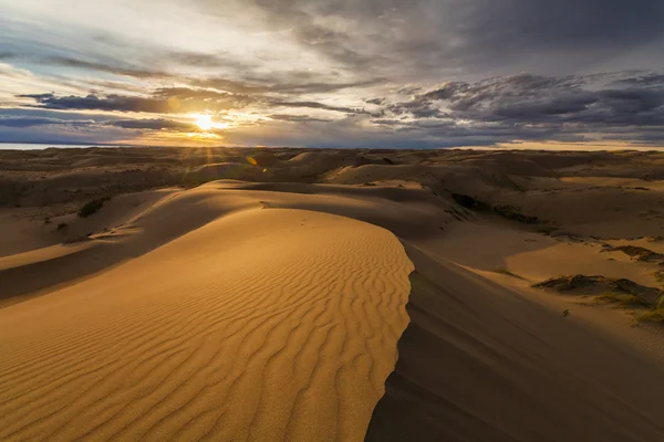 Beautiful desert landscape with a colorful sunset. Desert backgr