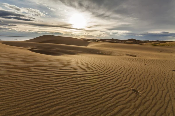 Beautiful views of the desert landscape. Gobi Desert. Mongolia.