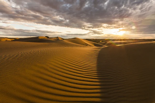 Beautiful desert landscape with a colorful sunset. Desert backgr