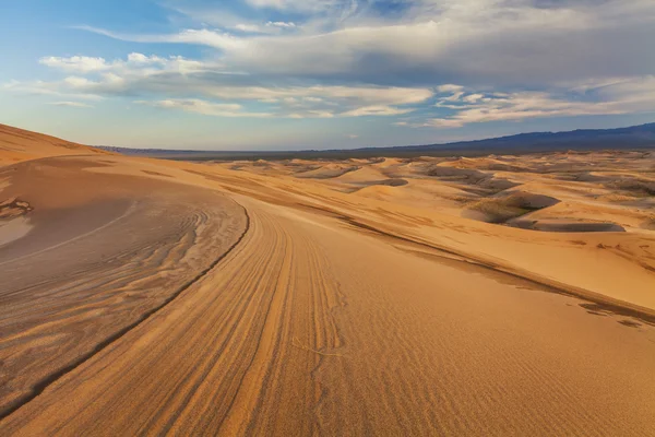 Beautiful yellow dune in the desert. Gobi Desert. Mongolia.