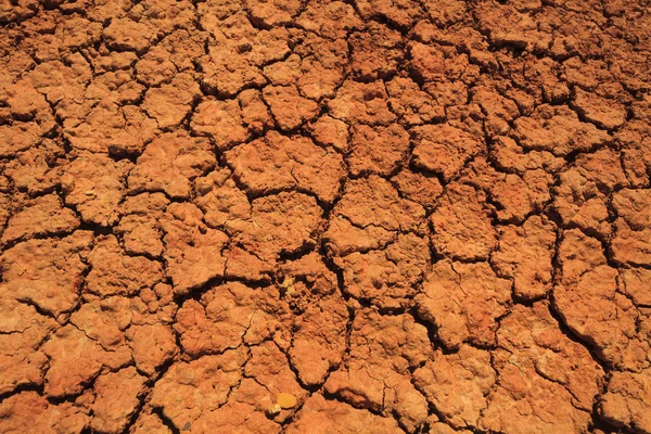 Abstract background of cracked earth. Drought.
