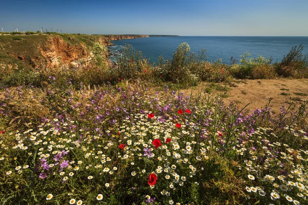 Beautiful colorful flowers in the background of the sea. Bulgari