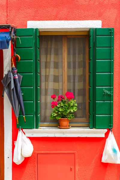 Colorful window on the wall, Burano, Venice, Italy