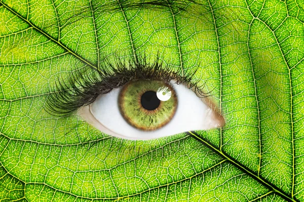 Close up image of human eye with green leaf double exposure background