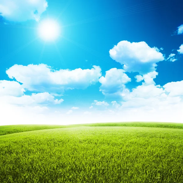 Green field under blue sky. Beauty nature background