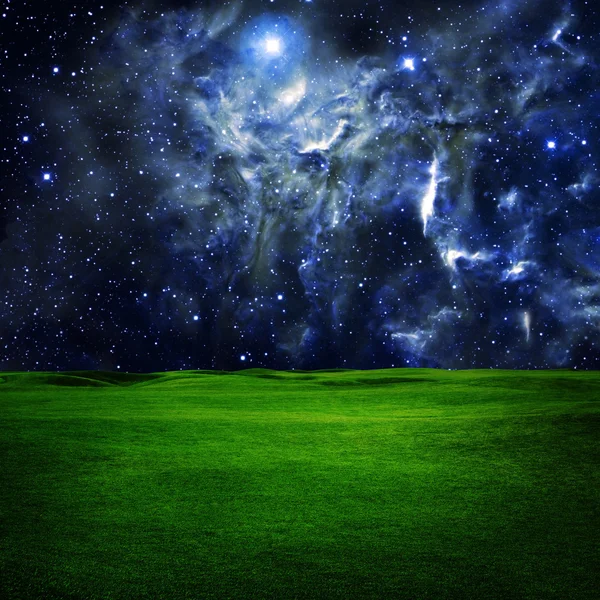 Green field under night sky