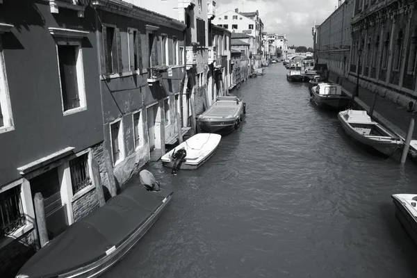 Venice retro